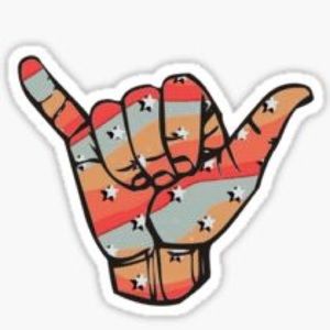 Meet your Posher, Maeve